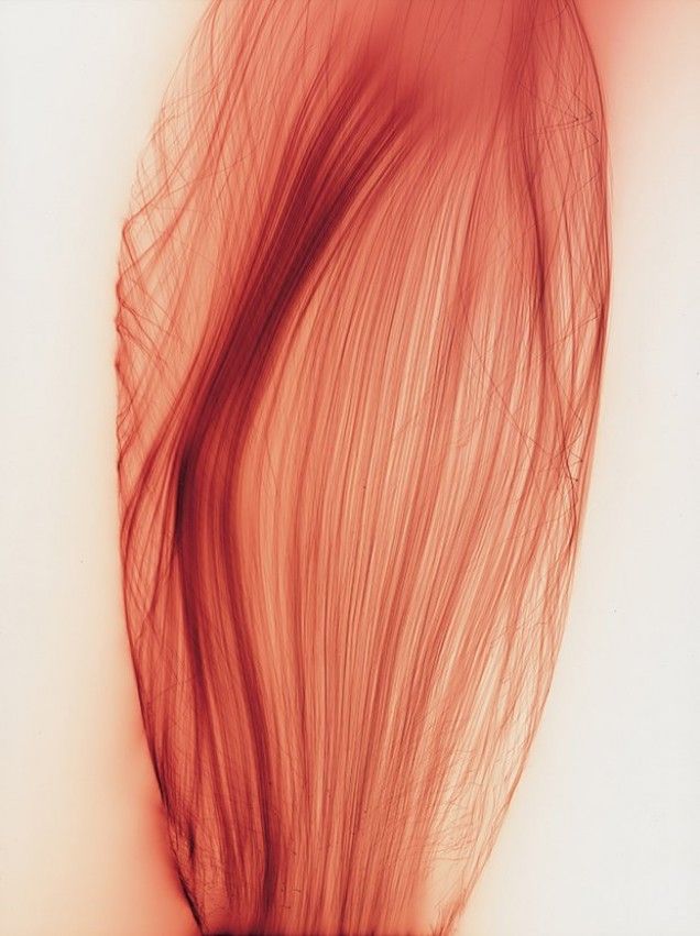 Wolfgang Tillmans, 'Muskel', 2001